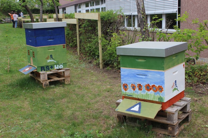 Neues aus der Bienen-AG … es ist soweit … unsere Bienen ziehen um
