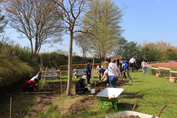 Fleißige Hände im Schulgarten
