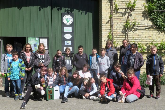 Außerschulischer Lernort Bauernhof: Besuch des Brühler Hofs in Volxheim