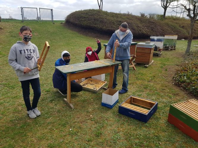 Schulbienen bekommen einen Neubau!