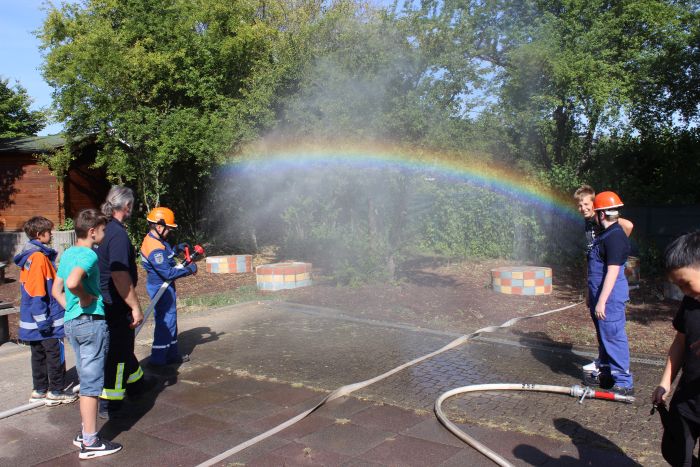 Endlich wieder Projektwoche!