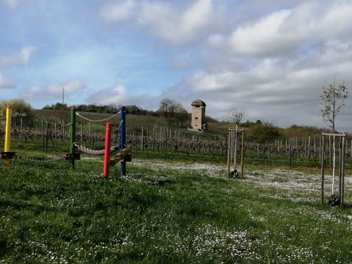 Erneuter Busstreik vom 15.04. bis 21.04.2024!