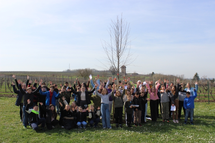 Vierter Jahrgangsbaum!